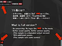 Uncensored Fate Fgo Sakura Matou Anime Adventure