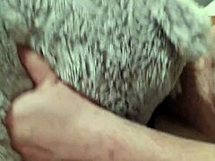 Gay sex with a cuddly toy