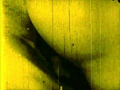 Hey, what’s up with these vintage erotic sketches?