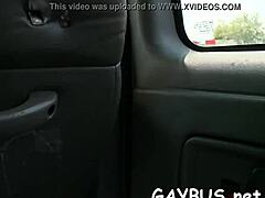 Homo Bear Encounters In Intriguing Gay Scenarios