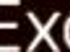 sensual indian babe gives romantic blowjob for pure fun