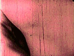 Vintage erotic illustration collection