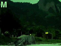 Got my cousin and girlfriend sucking at the beach! 🏖️