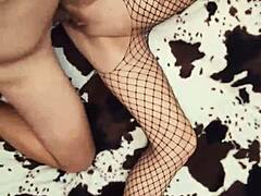 渔网内衣让自制肛交视频更刺激