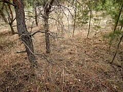 Two hot chicks film my cock and earn huge facial reward