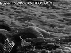 vintage erotic drawings spark curiosity