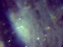 Here's More of My Cum, Enough to Get You Pregnant