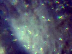 Here's More of My Cum, Enough to Get You Pregnant