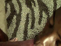 i play with black blowjob toy