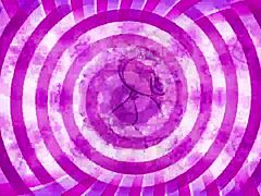 Sissy Instructions Teaser - Ghosting Alert!