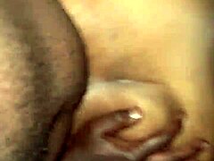 Tasha creams hard on fat ebony bbw's huge natural tits and plump body.