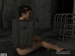 Watch the girl get tossed and punished in the garage