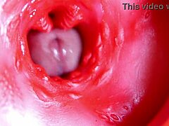 大红屌在多汁小穴里爆炸