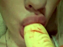 Elzakom's Pretty Lingerie and Toy Play