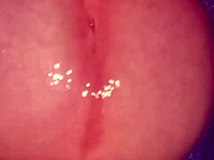 Glande Baboso Penis Masturbation Solo With Softcore Cock Action Thinking Of You