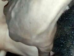 Latina intensely swallows my big black cock and balls