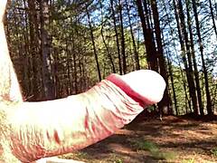 Clitlicker662 update 35 img 1372 Apr 12 2025 outdoor cock flashing