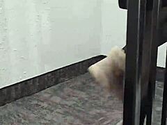 年轻18+棕发女诗人穿性感裙朗诗