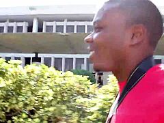 i watch college professor suck big black dick