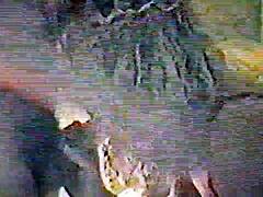 Skariann gives amazing blowjob in pov!