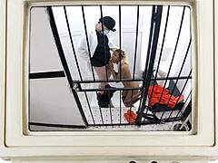 Stefania mafra's face gets blasted with cum in a hot blowjob scene.