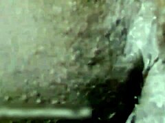 Smallest castrated limp dick shemale compilation with anal humiliation and buttplug