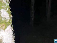 Scarlet Taylor and Juliana Share Dicks in 4some