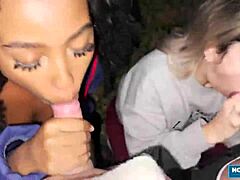 Scarlet Taylor and Juliana Share Dicks in 4some