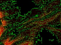 Real Homemade Fucking!