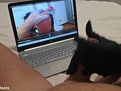 i previewed the milf handjob, she jerked off my big cock until i cummed on her gloves pov