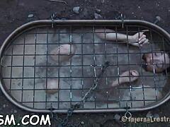 t beauty gets her fuck holes filled with blowjob, fucking, and toys in bdsm session