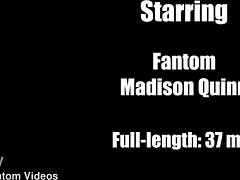 hardcore fucking madison quinn screaming in hotel room with muscular guy