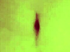 韩国业余性爱视频