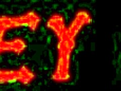 Ashley Coda Sucks Monster Cock Through Gloryhole