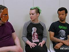 naughty kitten in asshole asylum for treatment.