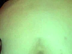 Black Bulls Bunny Ravishing Ray Main Bunny