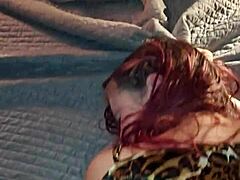 Black Bulls Bunny Ravishing Ray Main Bunny