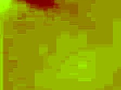 licking that wet pussy hard with intense tongue action