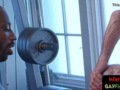 i dig deep into muscular gay asshole