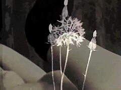 my secrit life in retro times with hairy adventures