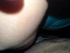 Ganhou mais uma calça e body novos - trying on lycra