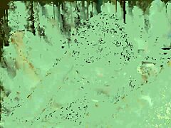 Tory Sweet And Freya Mayer Share Dual Dildo