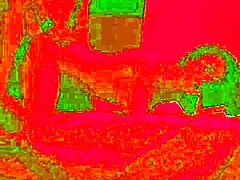 为什么生日晚餐变成了激情性爱？