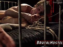 Hey tourists, feel the excitement as teen felicity feline rides jade on top.