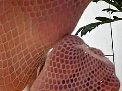 fetish feet mistress elza koms? dominating with panty sniffing and wet pussy lips in lingerie glamour?