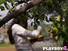 sweet all natural teen hayli sanders posing naked with perfect tits and big booty