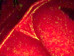 Masked in red light, this Latina gives a deep homemade blowjob on that cock