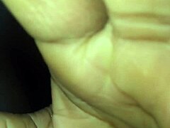 i learned clean bathroom habits from my pet dog