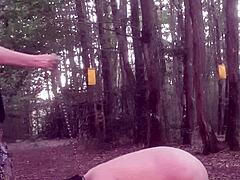 Intense Emotions With My Slave At Home And In The Forest