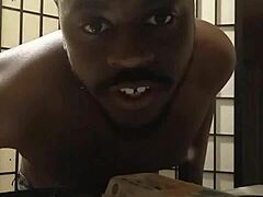 Cooking adventure with llamas after dark in the kitchen using bananas and food for free